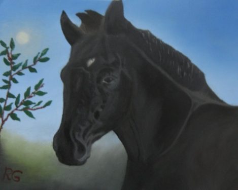Paard-2-site-galerie